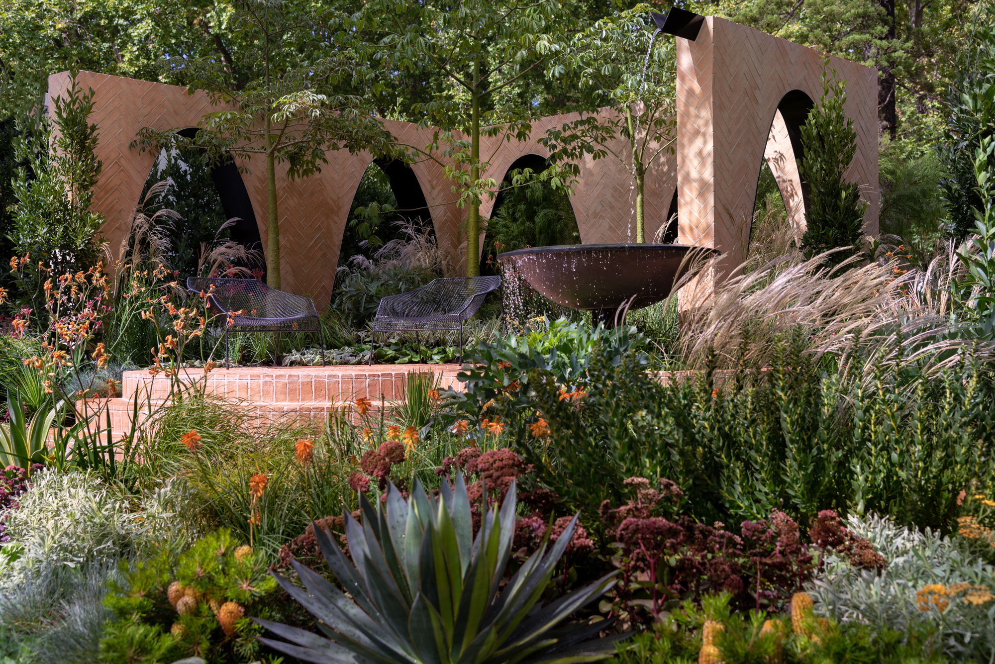 Aussie Mediterranean garden